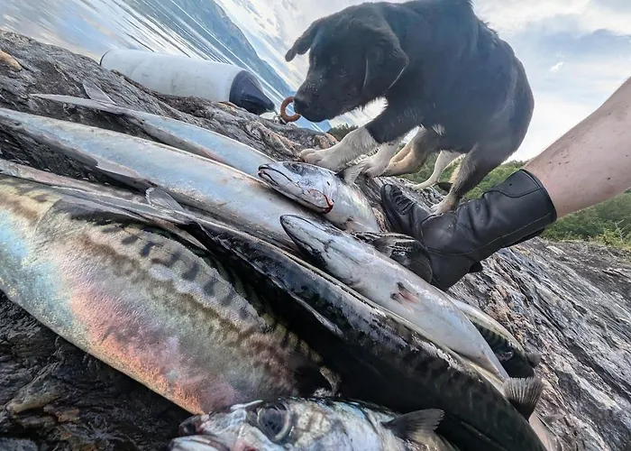 Charming With Amazing View בית נופש *